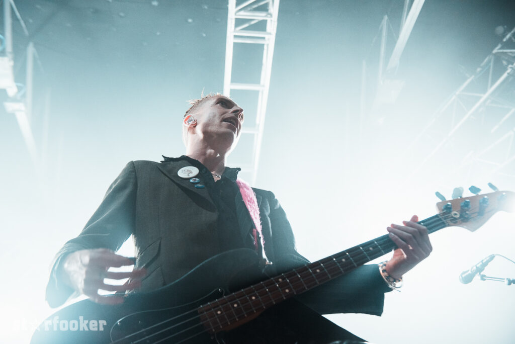 WolfaliceDSC 7555