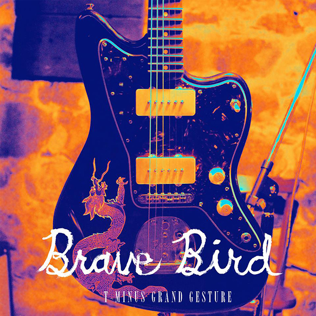 brave bird