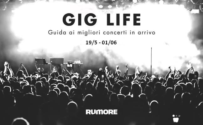 giglife19516