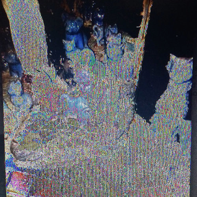 crystal castles frail