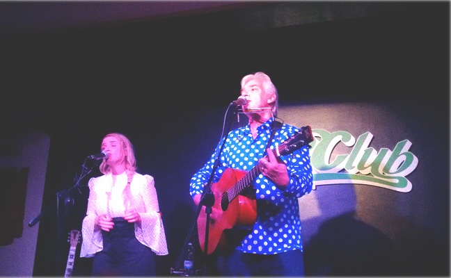 robyn hitchcock