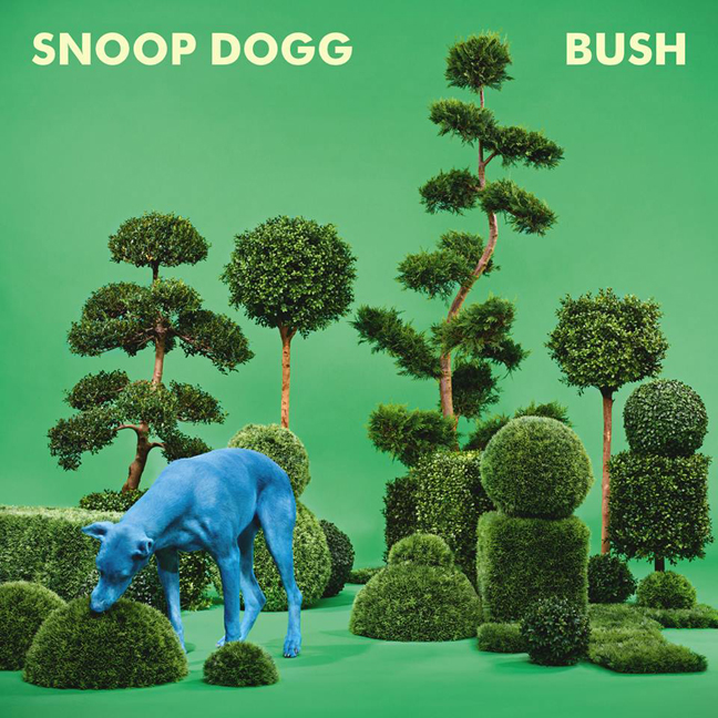 snoop bush