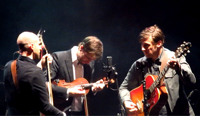 SI Bird band acoustic