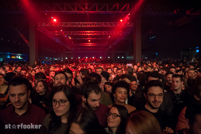 bonobo_DSC_2941