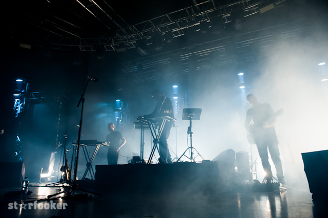 bonobo_DSC_2961