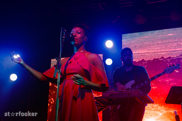 bonobo_DSC_3014