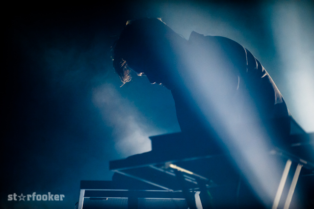 bonobo__DSC4230