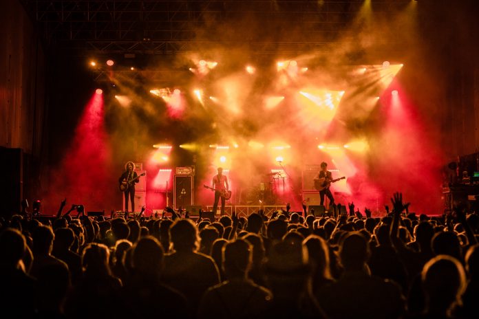 The Zen Circus Flowers Festival 2019 Collegno