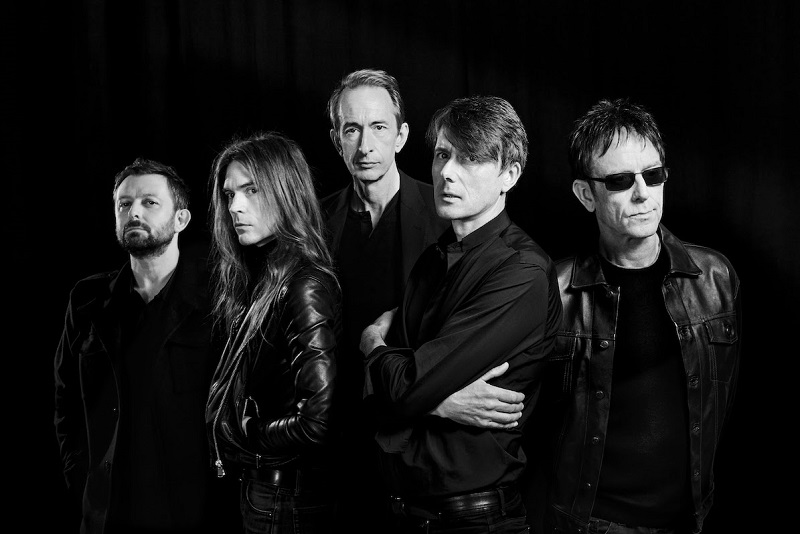 Suede By Dean Chalkley