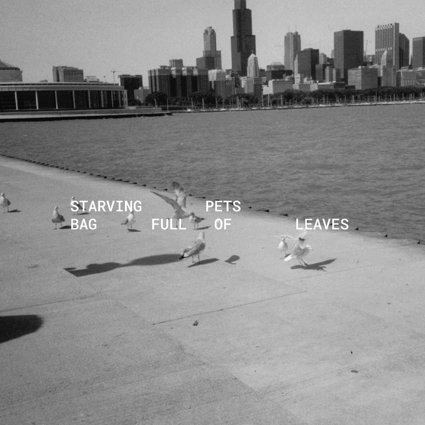 Starving Pets Cover Singolo 