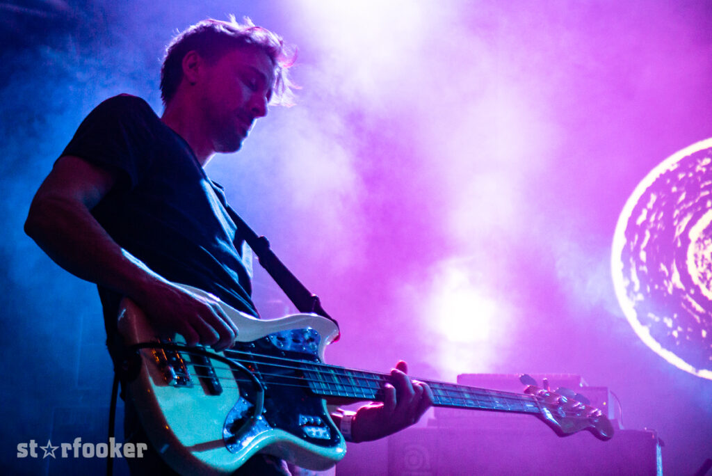 Gazebo PenguinsDSC 7857
