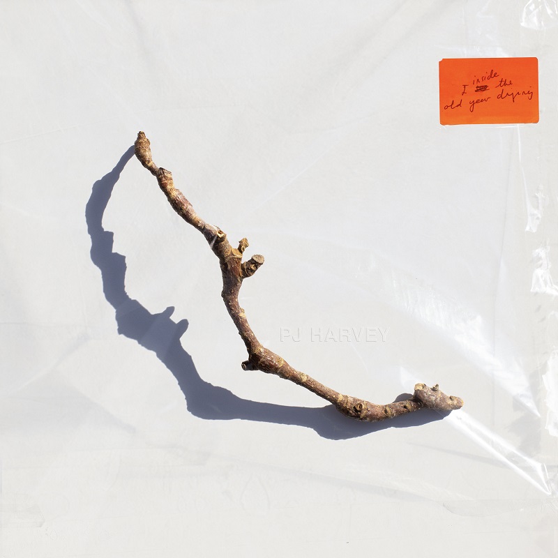 Pj Harvey Cover