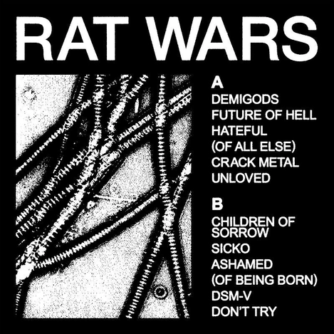 HEALTH RAT WARS