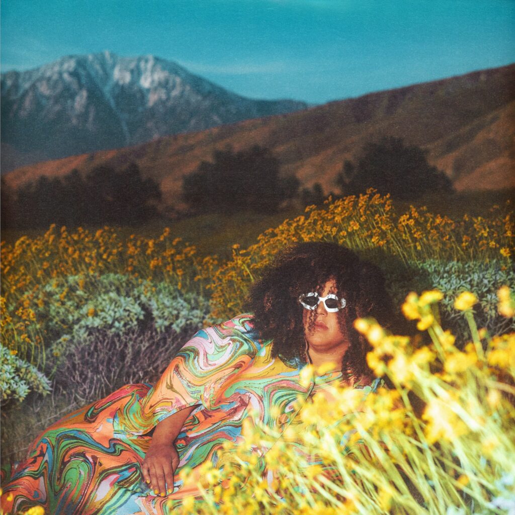 Brittany Howard What Now 3