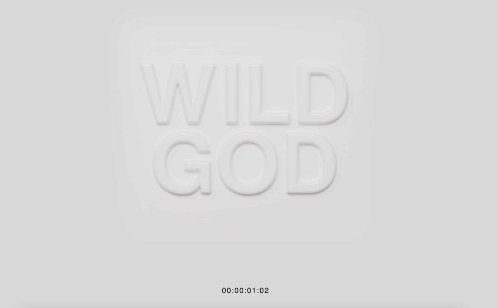 Nick Cave Wildgod