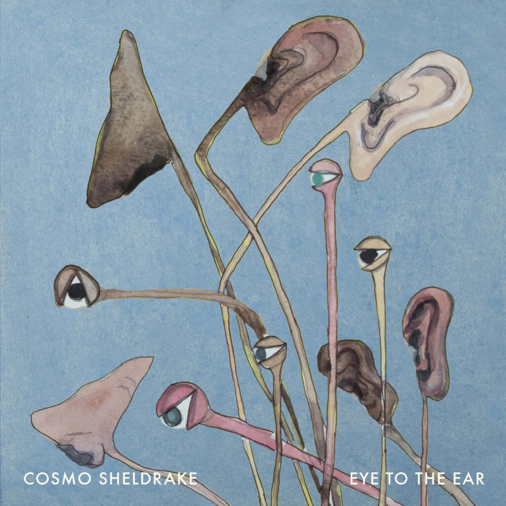 Cosmo Sheldrake Eye To The Ear Cover 2