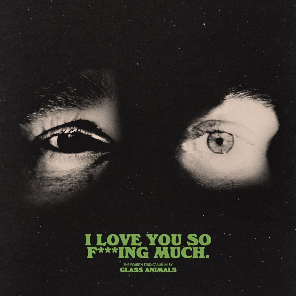 Glass Animals I Love You So Fing Much Cover