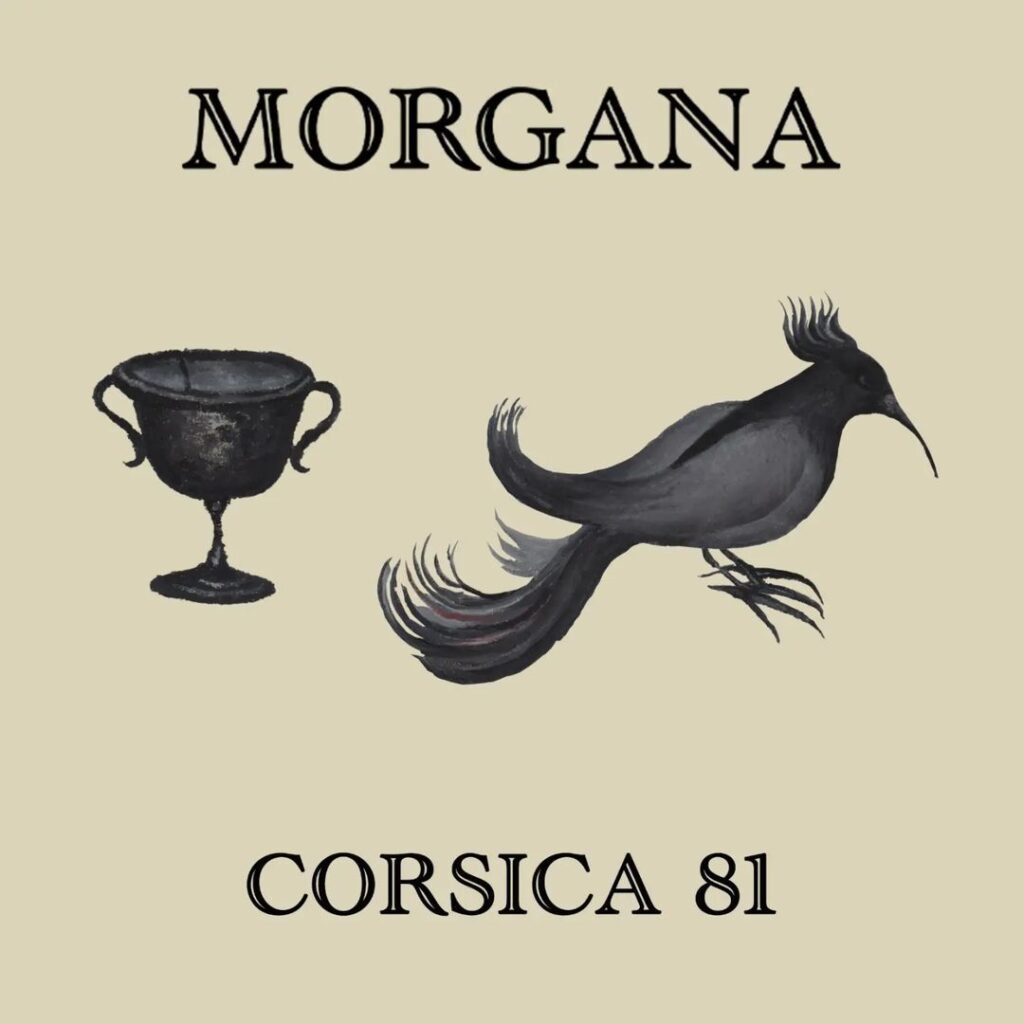 Morgana Corsica81