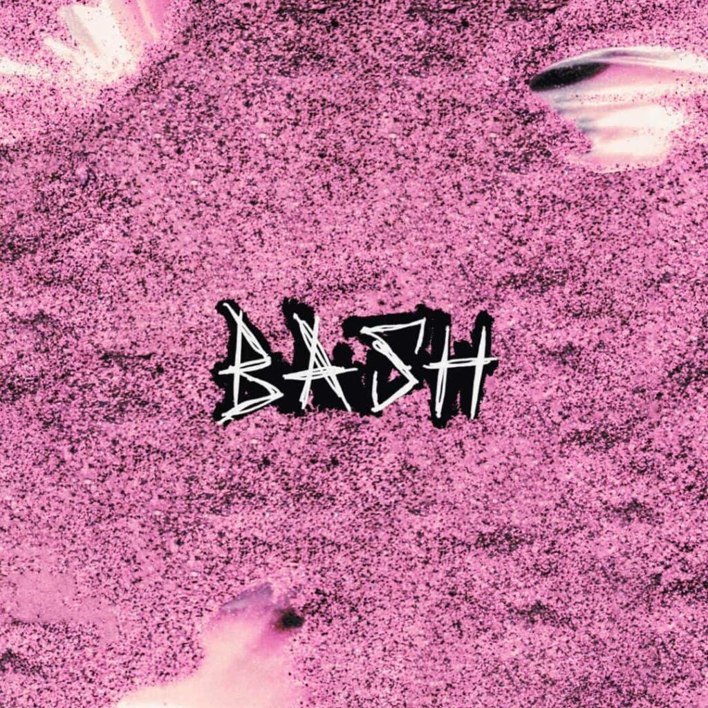 BASH Cover (1)