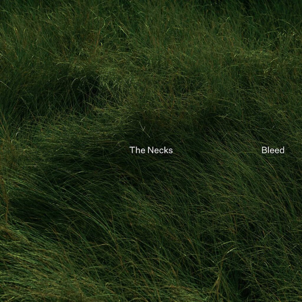 The Necks Bleed Cover