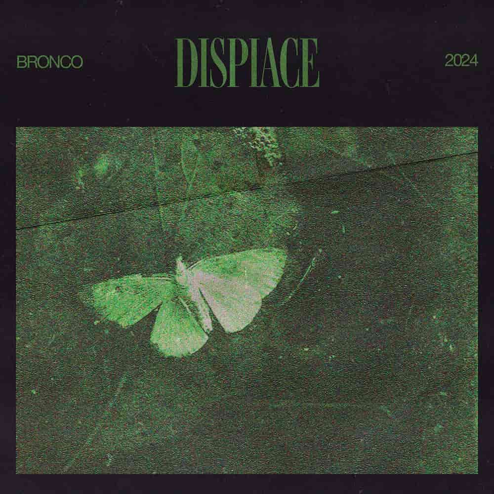 Dispiace Artwork