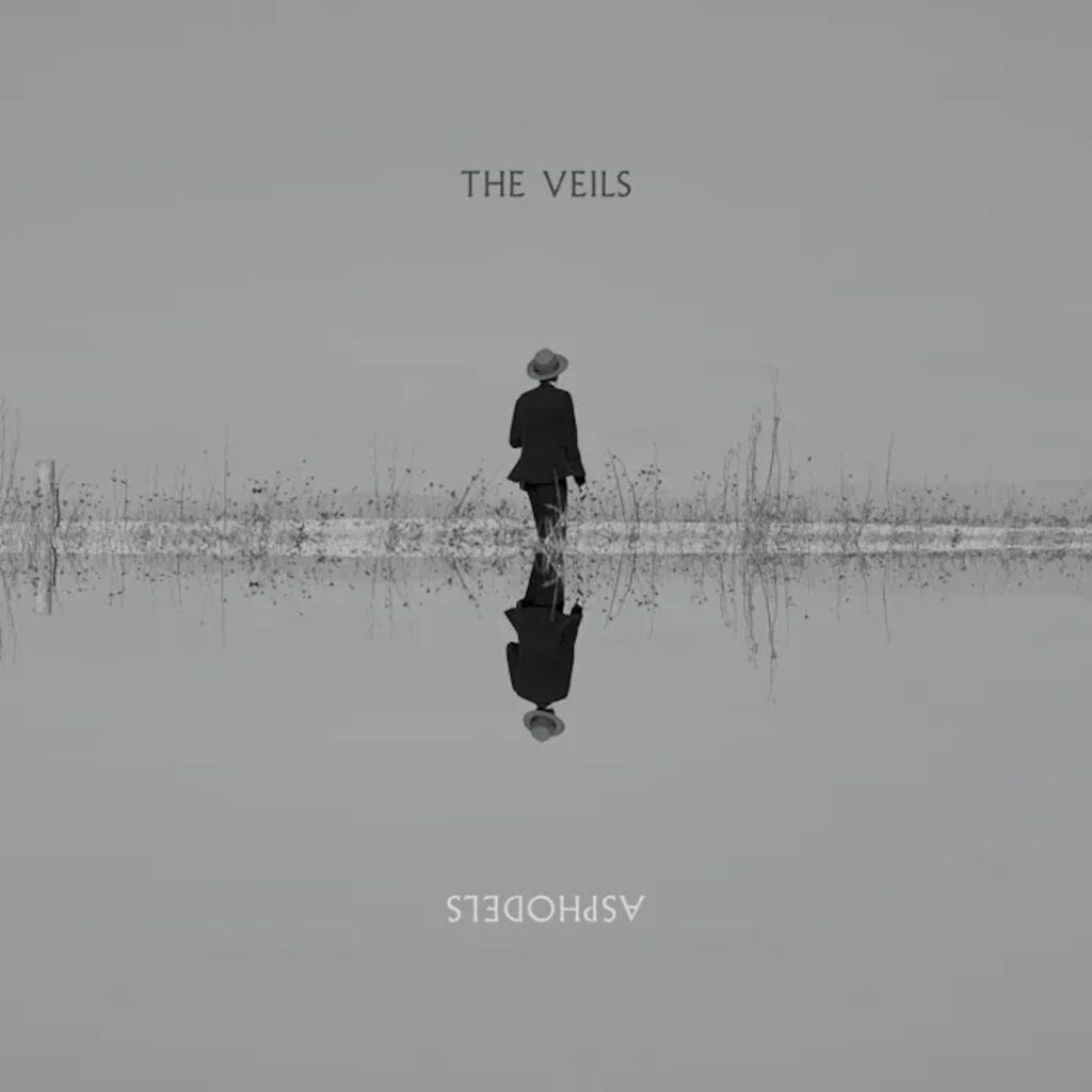 The Veils Asphodels Cover