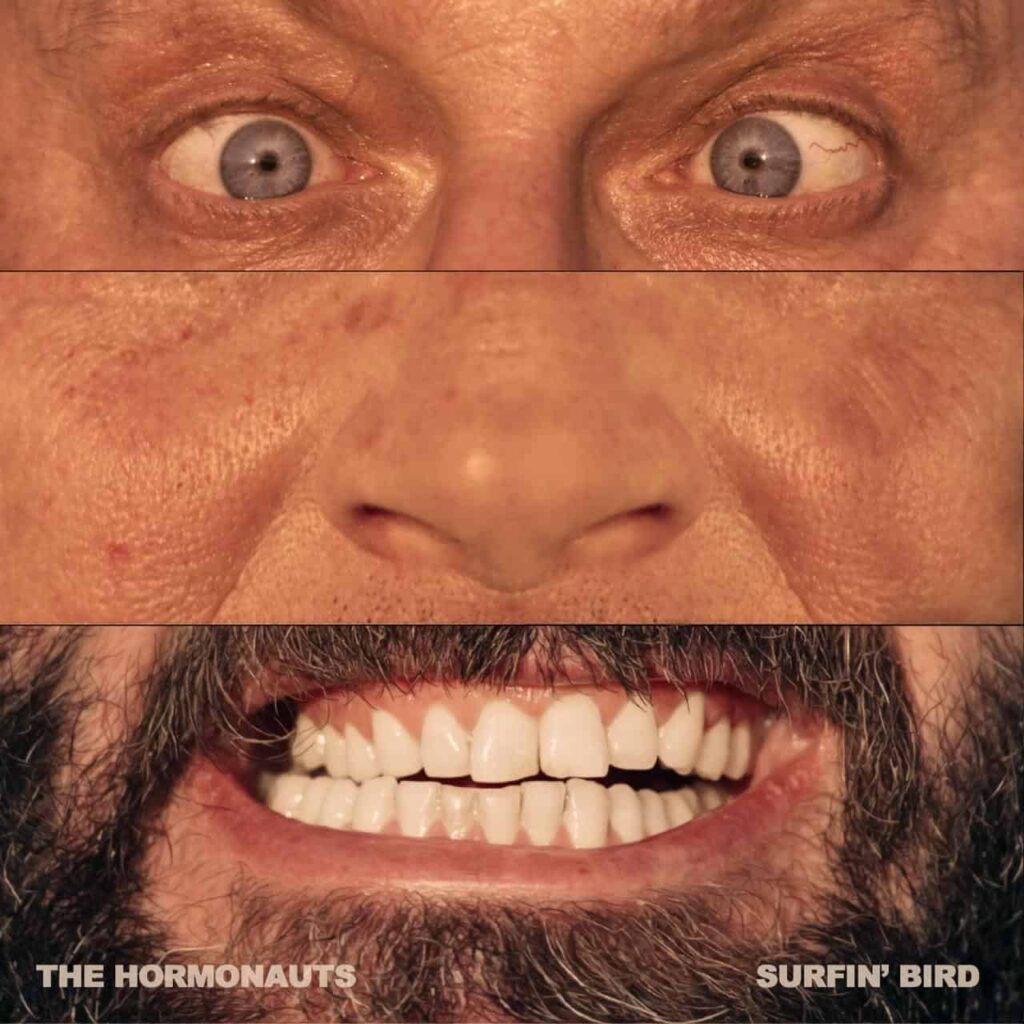The Hormonauts Surfin Bird Cover