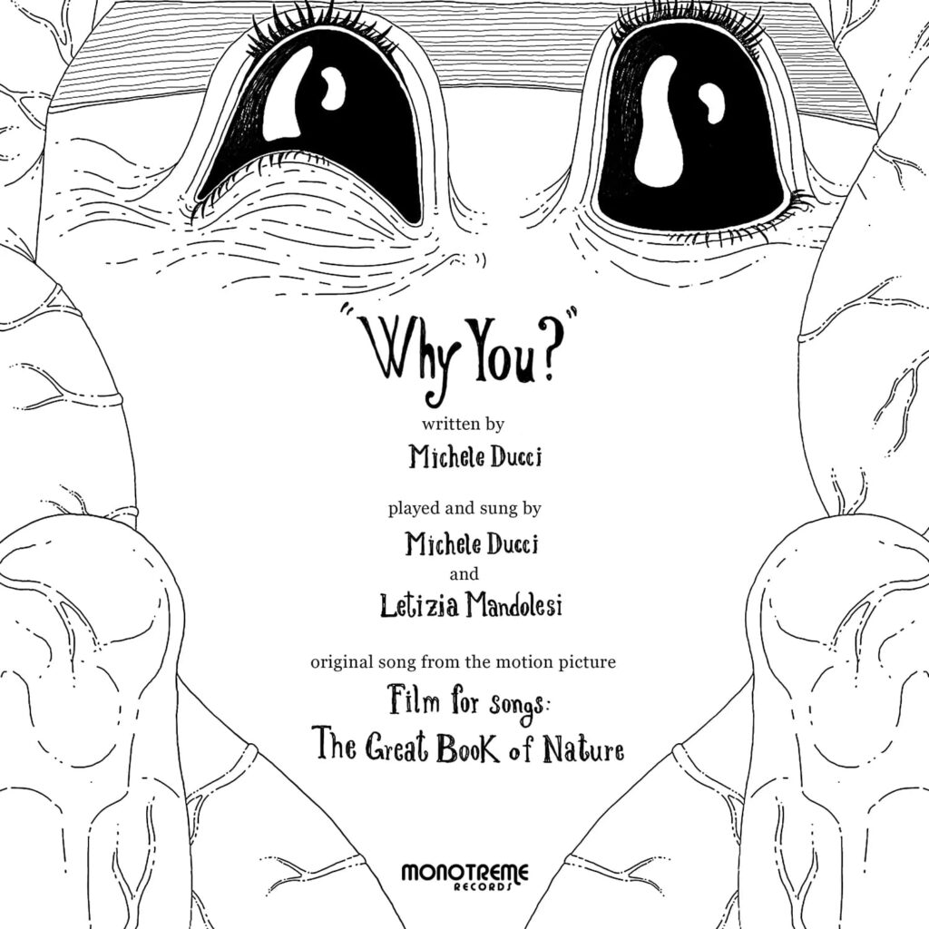 Why You Single Cover