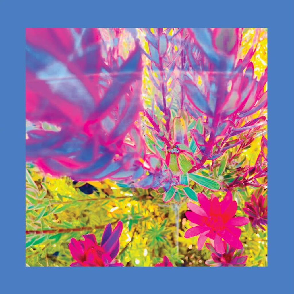 The Reds, Pinks & Purples The Past Is A Garden I Never Fed Cover