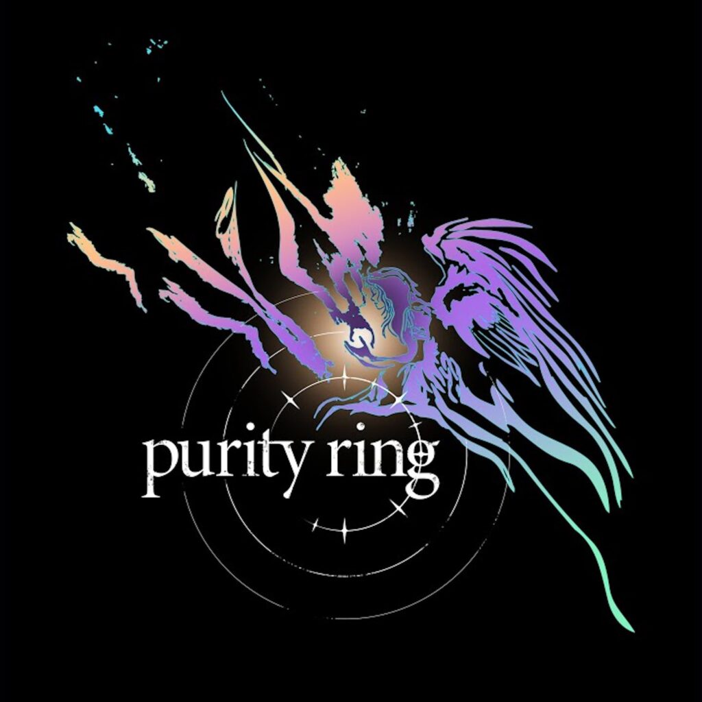 Purity Ring Purity Ring Cover