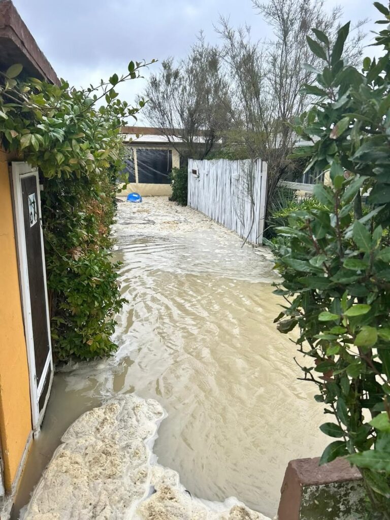 Hana Bi Sott’acqua