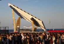 10+1 band e artisti (che non ti aspetteresti) da non perdere al Primavera Sound 2026